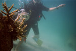 Sabah 2011 Day 1 & 2 #047b