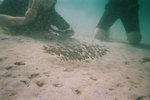 Sabah 2011 Day 1 & 2 #047c