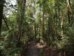 Sabah 2012 Day 3 #017