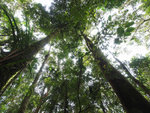 Sabah 2012 Day 3 #018
