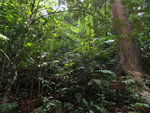 Sabah 2012 Day 3 #029