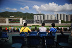 Racecourse #003