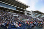 Racecourse #005