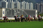 Racecourse #008
