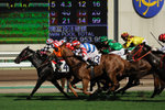 Racecourse #010