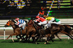 Racecourse #011