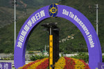 Racecourse #013
