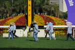 Racecourse #014