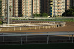 Racecourse #018