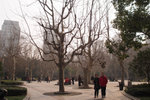 P1260062