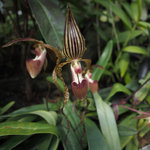 Daddy Bday Tour 2012 #177