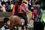Taiwan 2010 #110