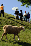 Taiwan 2010 #120