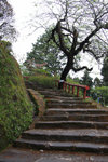 Taiwan 2012 Day 3 #029