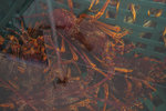 P4050236