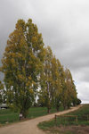 P4060115