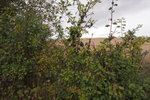 P4060171