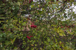 P4060172