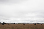 P4060174