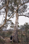 P4090389