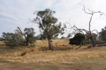 P4090404