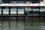 2009-08-27 Wanchai #002
