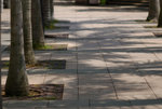 2009-08-27 Wanchai #010