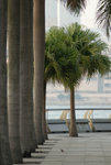 2009-12-22 Wanchai #001