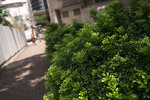 DSCF0032110704