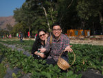 Christmas 2011 #019