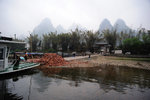Yang Shuo #041