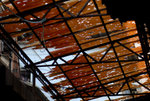 Yau Ma Tei Fruit Market #004