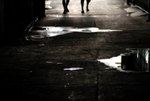 Yau Ma Tei Fruit Market #016