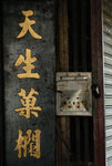 Yau Ma Tei Fruit Market #017