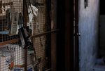 Yau Ma Tei Fruit Market #026