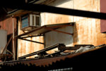 Yau Ma Tei Fruit Market #034