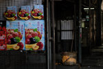 Yau Ma Tei Fruit Market #037