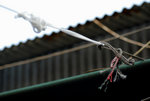 Yau Ma Tei Fruit Market #038