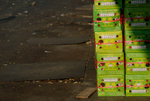Yau Ma Tei Fruit Market #043