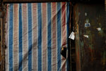 Yau Ma Tei Fruit Market #047