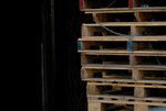 Yau Ma Tei Fruit Market #049