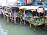tai o 027