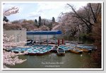 05 DSC_1938