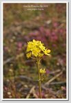 05 DSC_2646