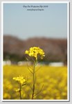 07 DSC_2539 G