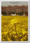 09 DSC_2557 G