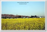 DSC_2573 G
