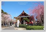 02 DSC_2998 G