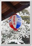 04 DSC_2964 G