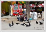 12 DSC_3161